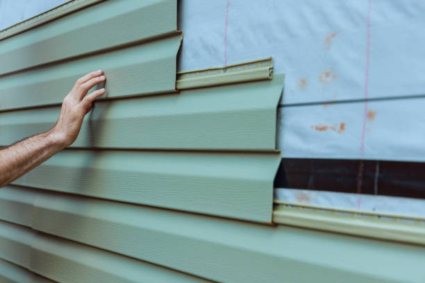Affordable Siding Repair and Maintenance Services in Wisner, NE